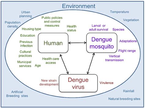 water associated disease index dengue